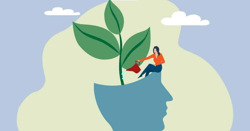 Positive Mindset in Life: The Key to Success and Peace