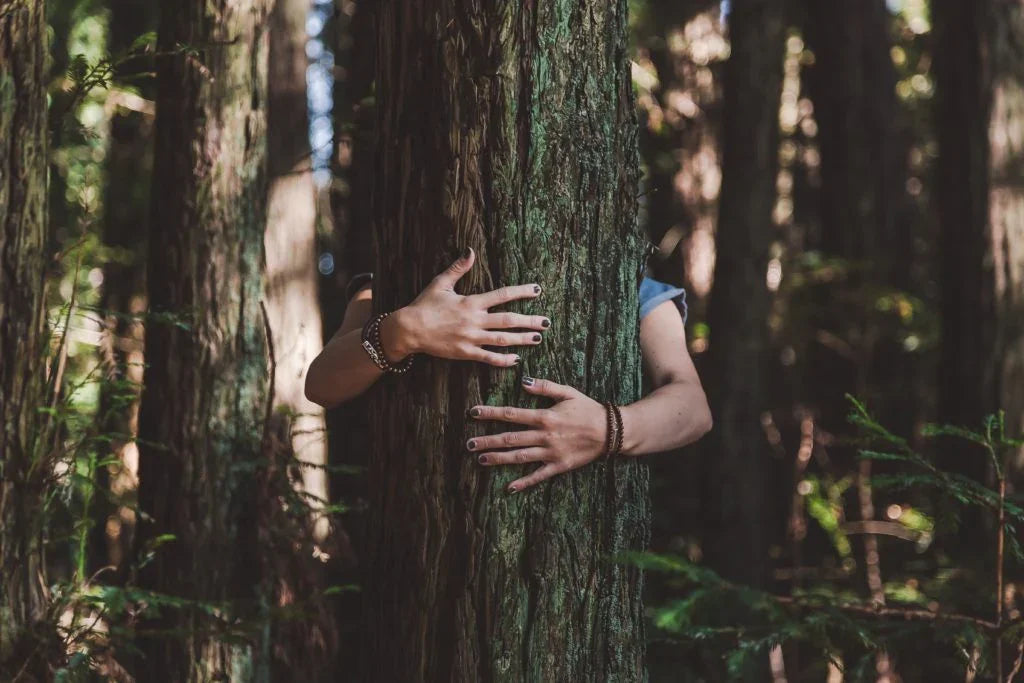 tree hug, jungle, nature love, eco care, forest embrace, green living, nature bond, mindful nature, forest healing, eco kindness