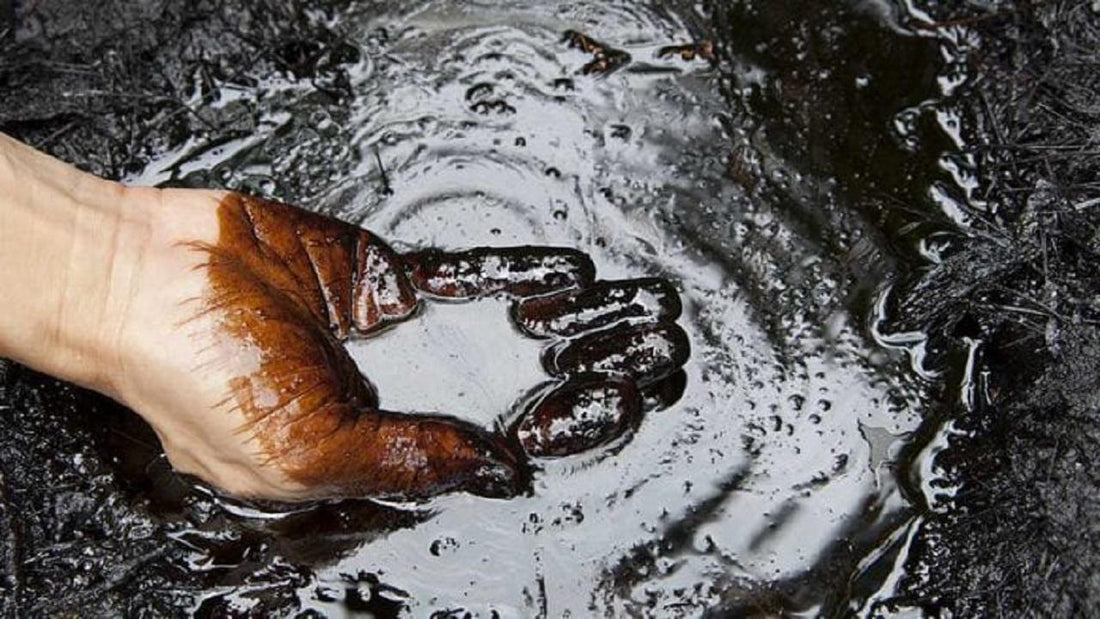 Hidden Role of Petroleum in Everyday Products