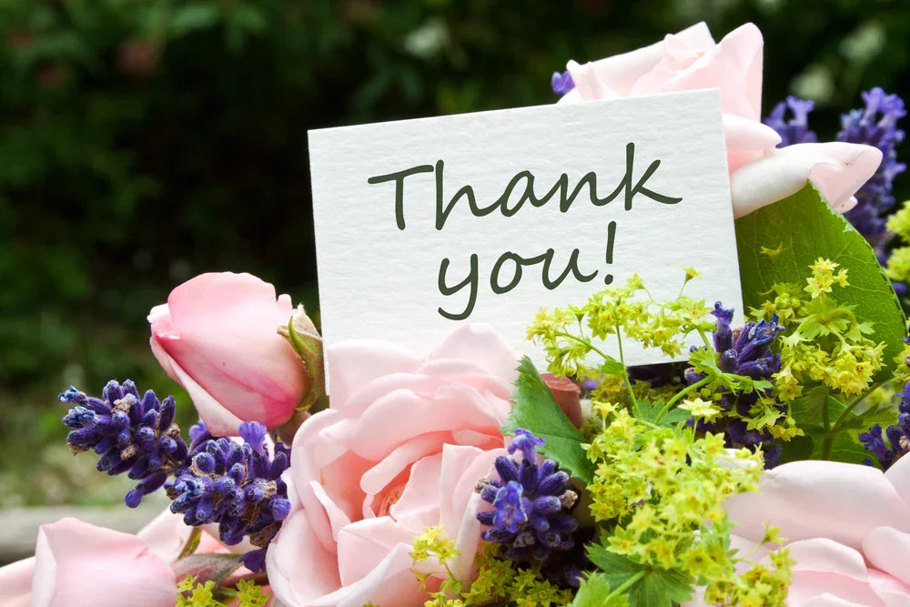 Gratitude for a Holistic Life: Discover the Powerful Benefits of Appreciation