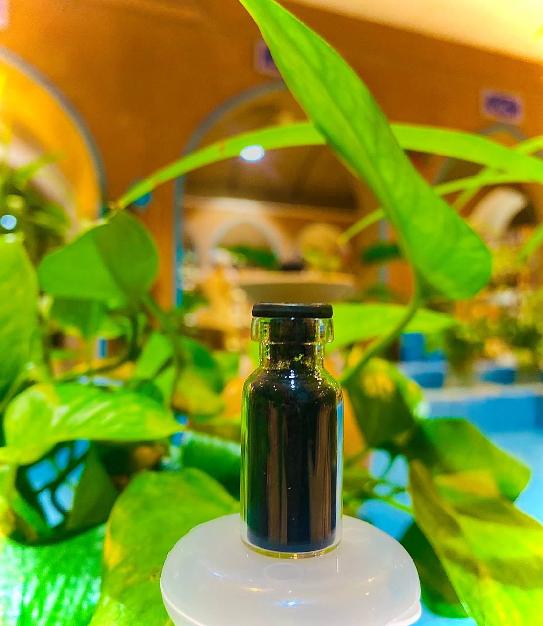 Organic Black Kohl Powder + Brass Container & Stick