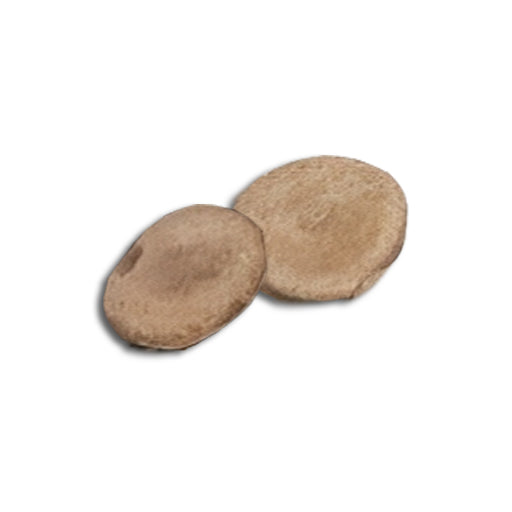 A Pair of Special Plants for Quitting Addiction