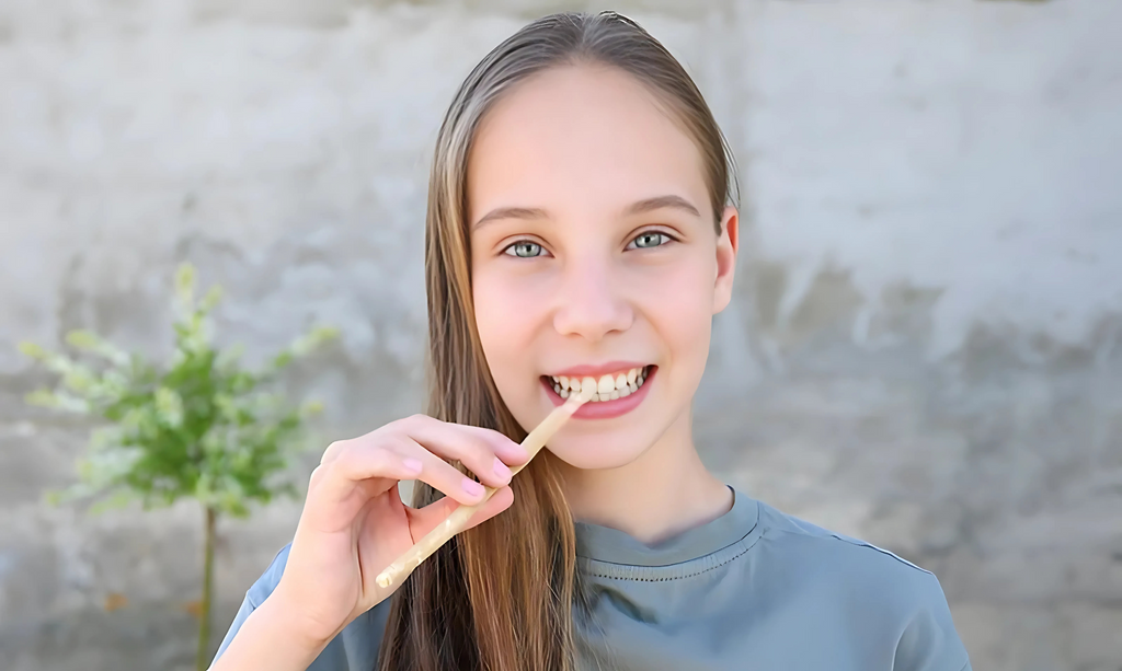 Miswak vs. Regular Toothbrush: A Comprehensive Guide to Wooden Toothbrush Benefits and Usage