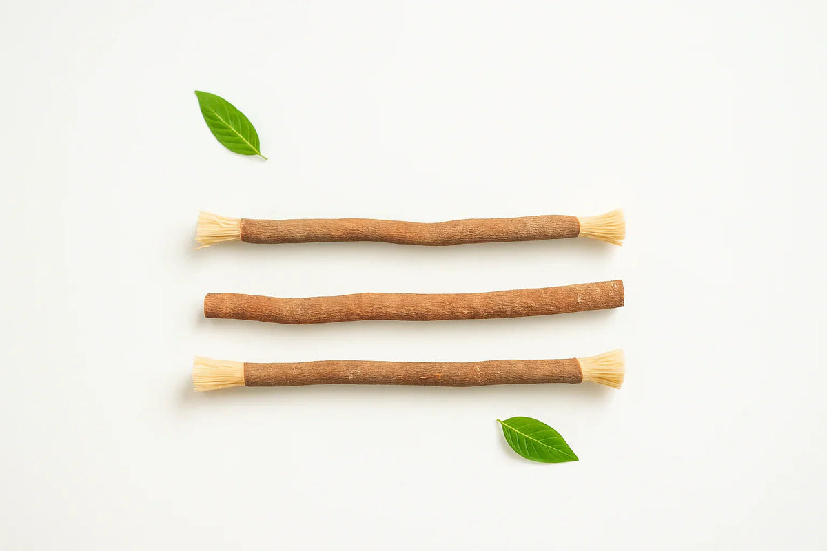Natural Miswak Stick | Teeth Whitening, Gum Strengthening, Clinically ...