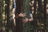 tree hug, jungle, nature love, eco care, forest embrace, green living, nature bond, mindful nature, forest healing, eco kindness