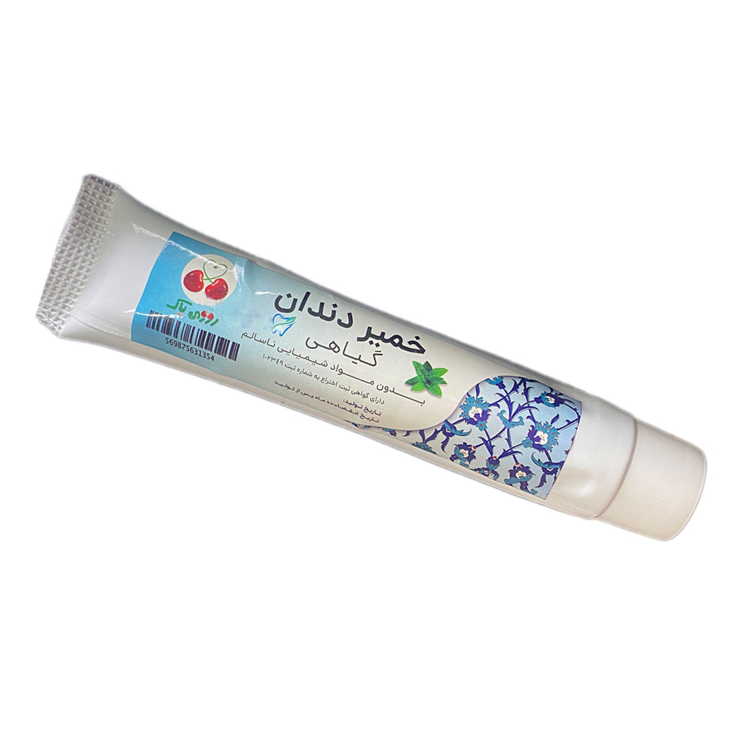 Healthy Mouth, Happy Smile: Natural Toothpaste Solution – Doctor Green Life