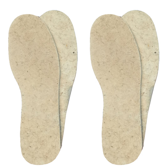 2 pares de plantillas de zapatos de fieltro